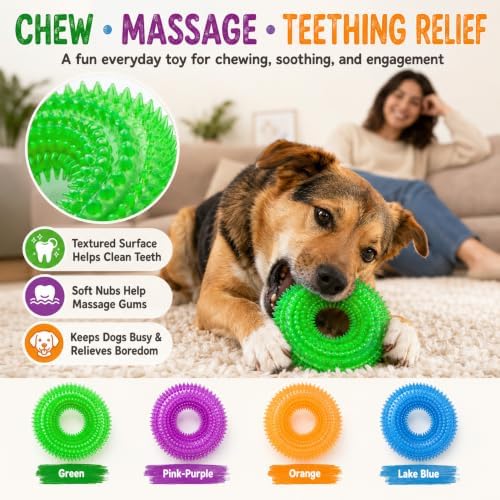 Dog Chew Toy, Squeaky Floating Donut Rings, 4-Pack, Aggressive Chewers