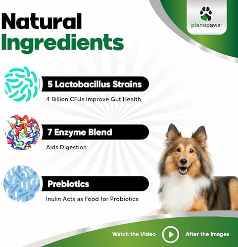 Probiotics for Dogs, 90 Soft Chews - Digestive Health Dog Probiotic 90ct