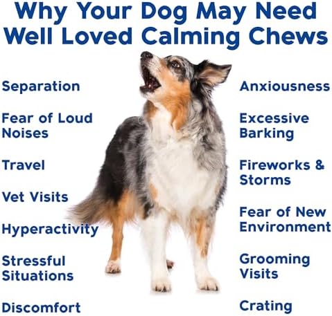 Well Loved Calming Chews for Dogs