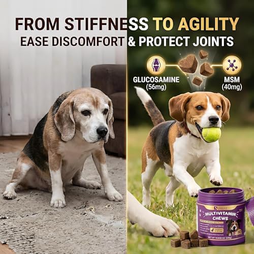 8-in-1 Dog Multivitamin - 90 Soft Chews, Chicken Flavor - Glucosamine, MSM, Chondroitin & Salmon Oil - Support Joint, Immune, Skin & Coat, Digestion for All Ages & Breeds Dogs.