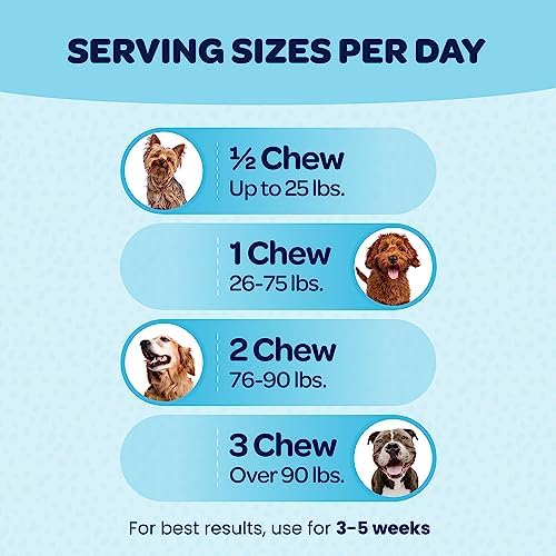 12-in-1 Complete Multivitamin for Dogs | Dog Multivitamin Chewable with Glucosamine Chondroitin & Digestive Probiotics for Dogs of All Ages and Sizes | NASC Certified & Made in The USA | 90 Chews
