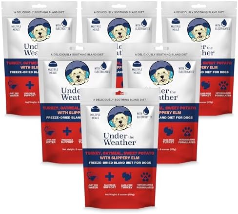 Under the Weather Bland Diet for Dogs | Easy to Digest Stomach Support for Sick Dogs | Contains Electrolytes, All Natural | 6 Pack - Turkey, Oatmeal, Sweet Potato & Slippery Elm - 6oz