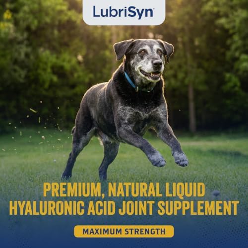 LubriSyn HA Hyaluronic Acid Hip & Joint Supplement for Dogs & Cats, 128 oz