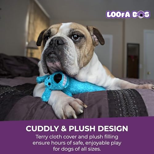 Multipet Loofa Dog Plush Toy w/ Birthday Hat - Squeaky Dog Toy for Dogs - Soft Plush - Stuffed Animal Dog Toys for Playing (1 Count, 12”, Random Color Surprise)