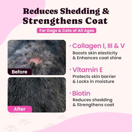 Premium Collagen for Dogs & Cats – 5 Types of Grass-Fed Collagen (I, II, III, V & X), Fast Allergy & Itch Relief Dog Colágeno with MSM, Biotin & Hyaluronic Acid – Supports Healthy Skin & Joints –120ml