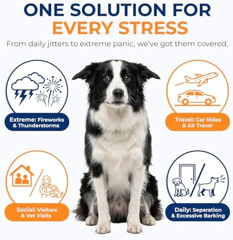 Dog Calming Chews 90 Count Dog Calm Treats Chicken Flavor for All Breeds, 90-Pack, 90 Count