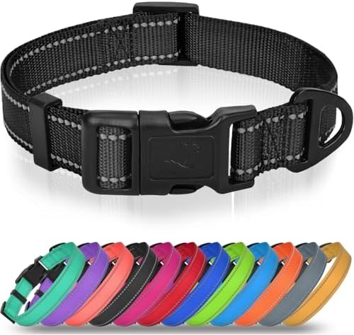 Joytale Feather-Light Dog Collar for Medium & Large Dogs, 1", Black