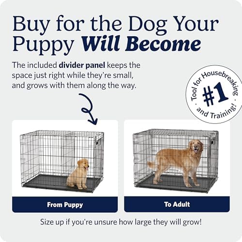 Midwest 30-Inch Single Door iCrate, for Medium Breeds, 21-40 lbs