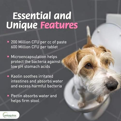 Vetoquinol Pro-Pectalin - Supports Digestive System & Stool Firmness for Dogs & Cats - Probiotic Supplement for Intestinal Support - For All Breeds - 30cc (Pack of 2)