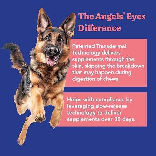 ANGELS' EYES Hip & Joint Mobility Collar for Dogs | Glucosamine, Chondroitin & MSM | 30 Days Continuous Joint Support | Supports Mobility, Cartilage & Aging Joints | Water Resistant | Medium/Large
