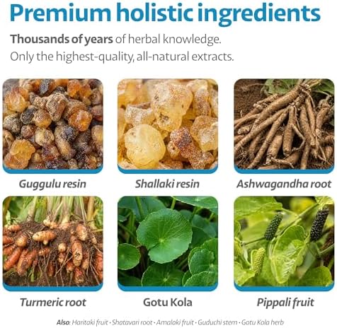 Hip and Joint Supplement for Dogs – Boswellia, Ashwagandha & Turmeric – Stiff Joints, Reduced Mobility & Senior Dog Support – Pork Flavor – 90 Count
