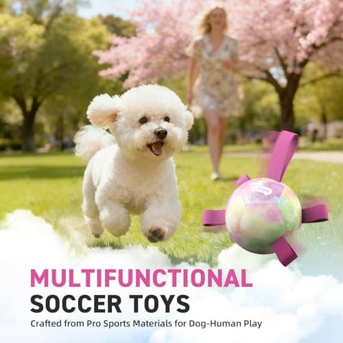 QDAN Dog Soccer Ball with Straps, Small Puppy Durable Dog Toys, 5 Inch | Balls for Tug, Puppy Birthday Gifts For Small Dogs, Water Pool Toy, Training Pet Puppy Toys for Dog Mentally Stimulating