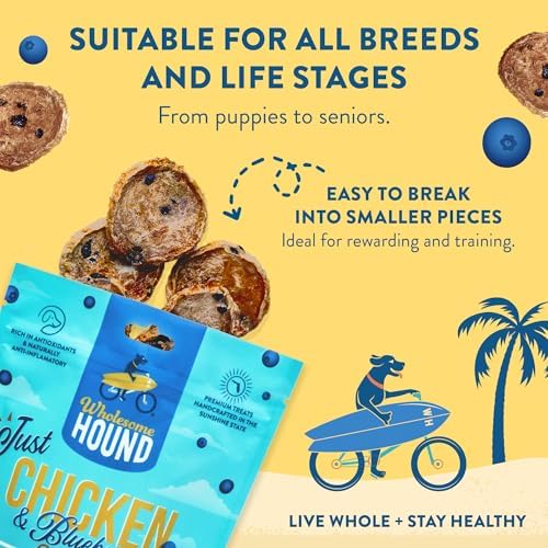 Chicken Blueberry Chips Dog Treats, 2-Ingredient, 7oz