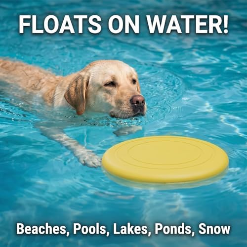 Dog Frisbee, Floating, 7in, 3-Pack