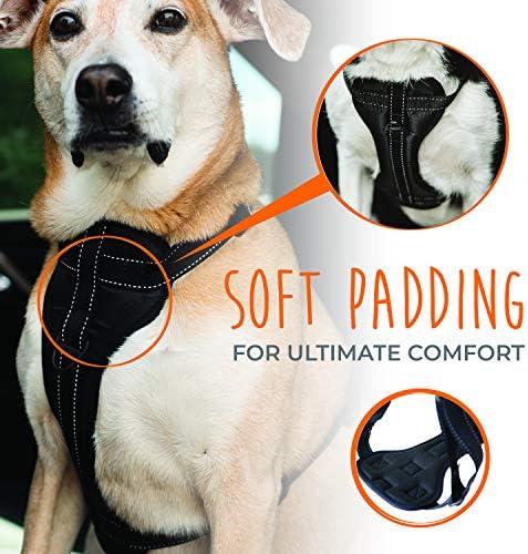 Mighty Paw Dog Car Harness, No-Pull Front Leash Attachment, L