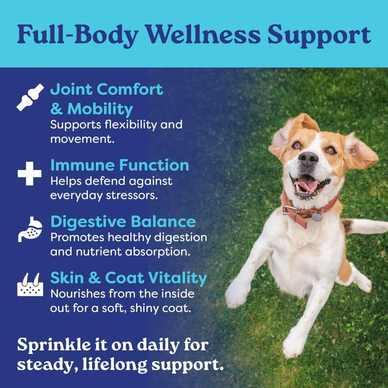 Bone Broth Dog Food Topper – Grass-Fed Beef Bone Broth Powder for Senior Dogs – Hip & Joint, Skin & Coat Support – Glucosamine & Collagen – 60 Servings | Fountain of Woof