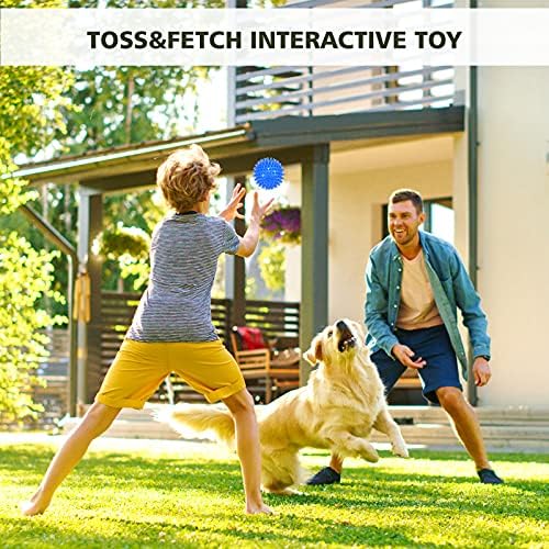 petizer Squeaky Dog Toy Balls, Floating, 2.5in, 3-Pack, Small