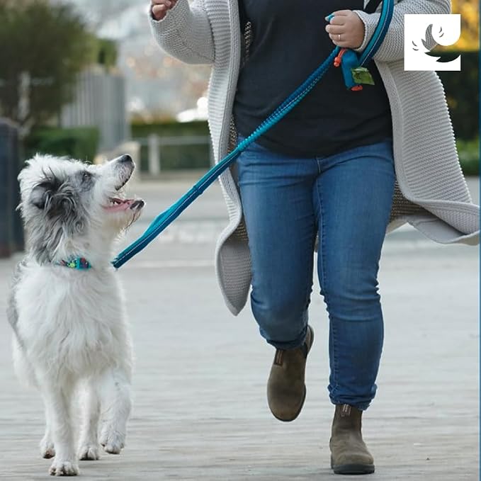 RC Pets P.U.P Bag, Dog Poop Bag Holder with Leash Attachment (Heather Caramel)