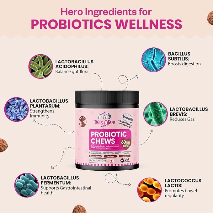 Probiotic Soft Chews Supplement for Dogs | Six Probiotic Strains for Gut Health & Digestion | Chicken Flavor | Supports Immune Function | 60 Soft Chews