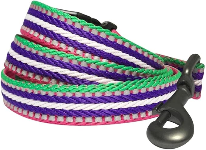 Blueberry Pet Dog Leash - Reflective, Strong & Comfortable | Pinch Collar for Dogs & Puppy Essentials | Heavy Duty Dog Leashes for Large & Medium Size | Gentle Leader Products