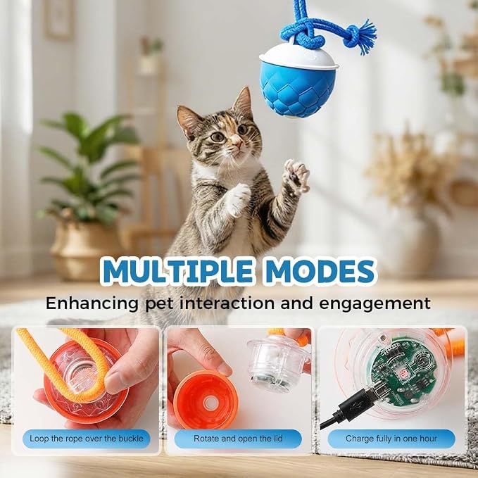 Interactive Dog Toys - 2026 Upgraded Motion Activated Automatic Rolling Ball Toys for Small/Medium/Large Dogs Balls for Boredom to Keep Them Busy with USB Rechargeable (Blue Orange)