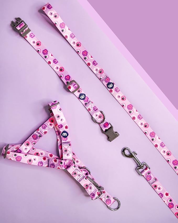 Blueberry Pet Essentials Spring Scent Inspired Garden Floral Dog Leash in Light Purple, 4 ft x 1", Large, Leashes for Dogs