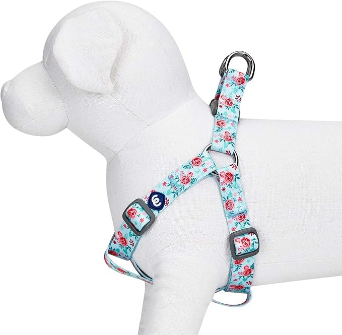 Blueberry Pet Essentials Step-in Spring Scent Inspired Garden Floral Dog Harness in Pastel Blue, Chest Girth 20" - 26", Medium, Adjustable Harnesses for Dogs