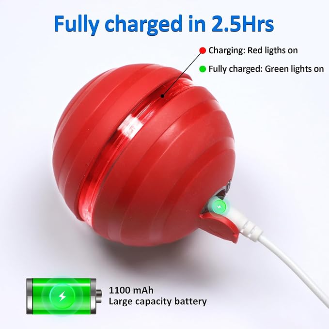 Interactive Dog Balls with Motion Activated, Wicked Ball Squeaky Dog Toy Oxford Bag Keep Dogs Busy (Red Ball)