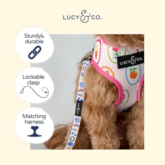 Lucy & Co. Dolce Vita Dog Leash, Durable Matching Dog Lead with Heavy Duty Hardware, Large