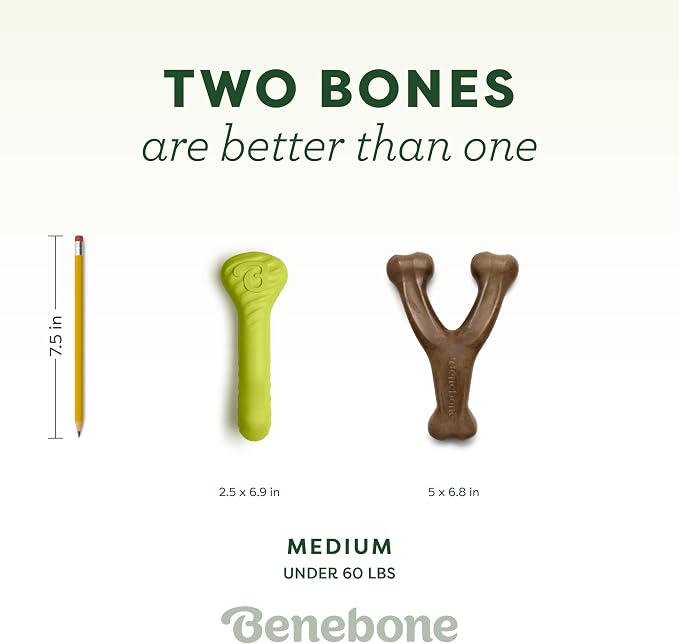 Benebone Bacon Wishbone/Rubber Bone Medium, 2-Pack | Dog Bones, Long-Lasting, Boredom Buster, Natural Rubber
