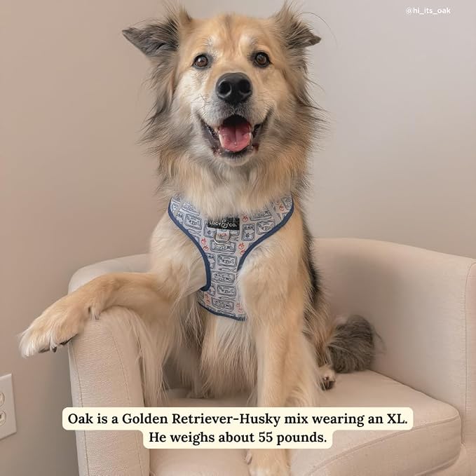 Lucy & Co. Tinned Fish No-Pull Dog Harness, Adjustable Front Clip Harness with Comfort Padding, X-Large