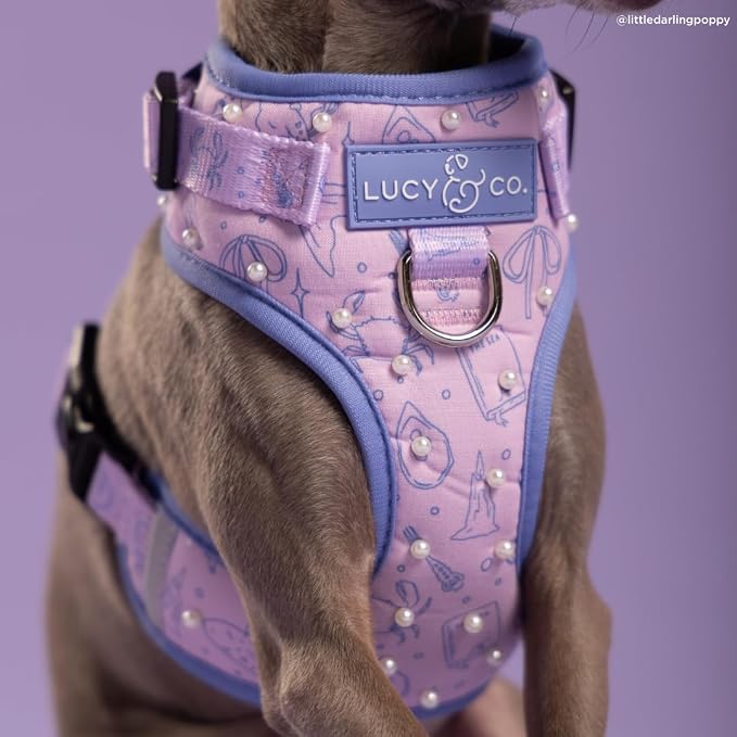 Lucy & Co. Magnificent Mermaids Pearl No-Pull Dog Harness, Adjustable Front Clip Harness with Comfort Padding, X-Large