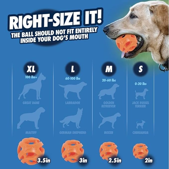 Chuckit! Air Fetch Stick Dog Toy, Small, Orange