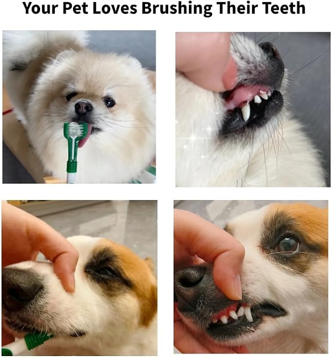Pet Toothbrush for Dogs & Cats – Dual-Head Pet Toothbrush, 2-Pack Soft Bristle Dental Care Set, Ergonomic Handle, Plaque & Tartar Removal, Assorted Colors