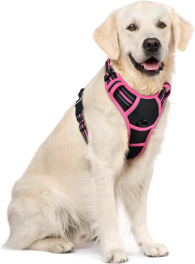 rabbitgoo Dog Harness, No Pull for Large Dogs with 2 Leash Clips, Pet Vest | No Choke with Handle, Adjustable Soft Padded, Reflective, Easy Control for Walking, Black & Hot Pink, X-Large