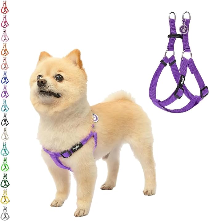 PUPTECK No Pull Dog Harness Small Sized Step-in Adjustable Puppy Vest | Soft Webbing Basic Halter with ID Tag for Outdoor Walking