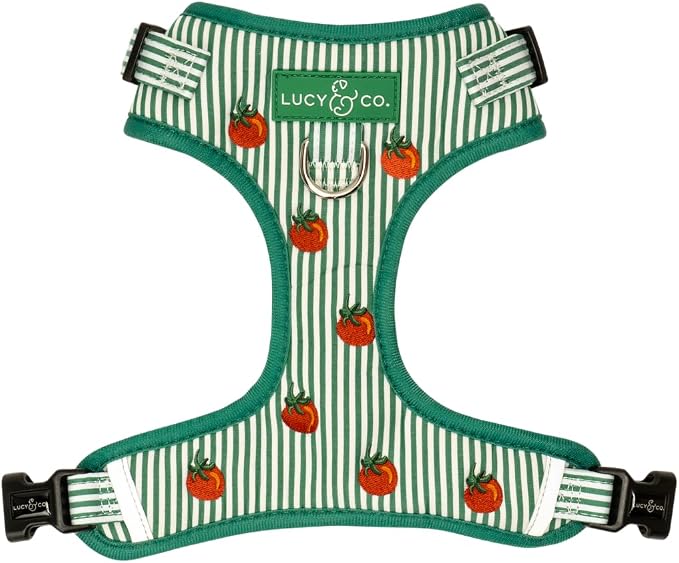 Lucy & Co. Tomato, Tomahto Embroidered No-Pull Dog Harness, Adjustable Front Clip Harness with Garden Design, X-Small