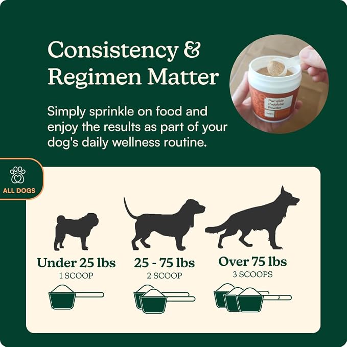 Reggie Daily Immunity Set for Dogs | Supports Healthy Gut, Immune System, and Nutrient Absorption | Made in The USA, Vet-Approved, & Ideal for All Ages, Breeds, and Sizes