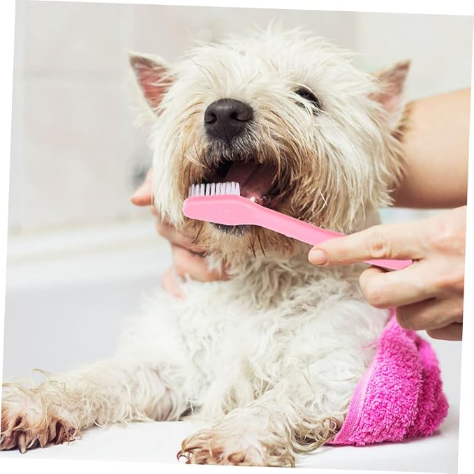 Levemolo 12Pcs Dual Head Dog Toothbrush Soft Bristle Pet Care Comfortable Cleaning for Dogs Oral