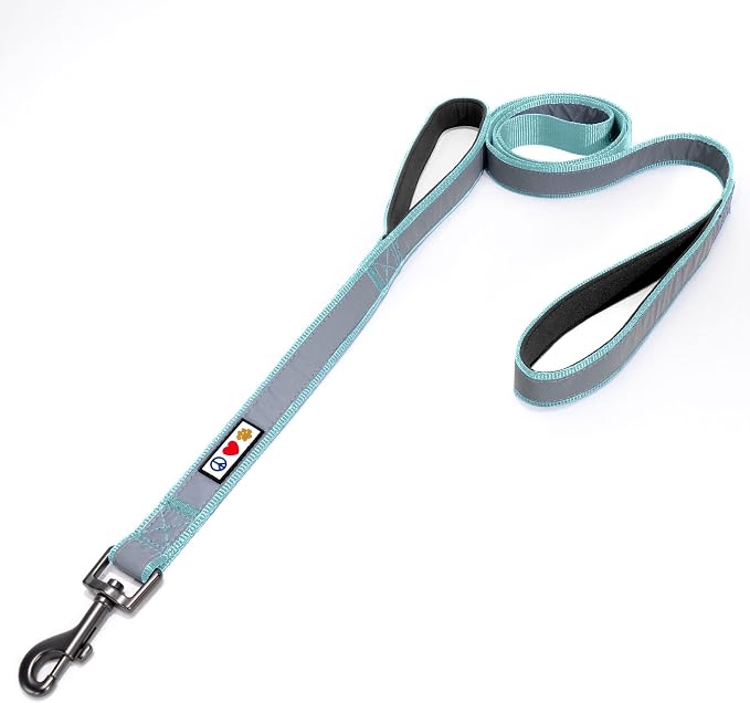 Pawtitas Double Handle Dog Leash Heavy Duty for Training No Pull Leashes Ideal for Medium and Large Dogs | Great for Walking, Running & Training Dog Leash - Medium/Large - Teal