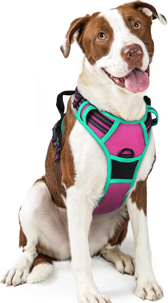 rabbitgoo Dog Harness, No Pull for Large Dogs with 2 Leash Clips, Pet Vest | No Choke with Handle, Adjustable Soft Padded, Reflective, Easy Control for Walking, Hot Pink & Turquoise, Large