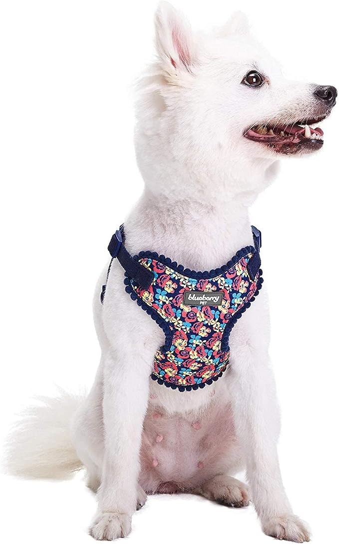 Blueberry Pet Soft & Comfy Made Well Profound Floral No Pull Mesh Puppy Dog Harness Vest in Navy, Chest Girth 14"-16", X-Small, Adjustable Harnesses for Dogs & Cats