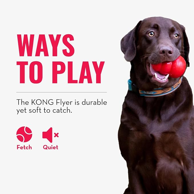 KONG Flyer - Durable Dog Toy for Outdoor Playtime - Natural Rubber Flying Disc, Dog Toy for Fetch - Safer Disc for Healthy Activity - for Small Dogs (Pack of 3)