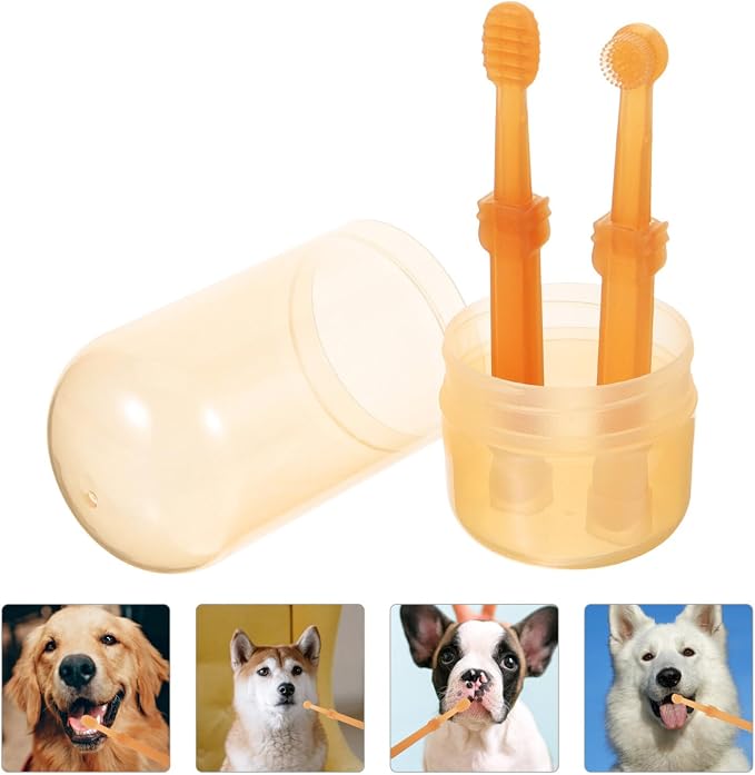 POPETPOP 1 Set Pet Toothbrush Puppy Toothbrushes Toothbrush for Dogs Single-Head Brush Dog Tooth Brush Handheld Pets Toothbrush Single-Head Dog Toothbrush pet Supplies