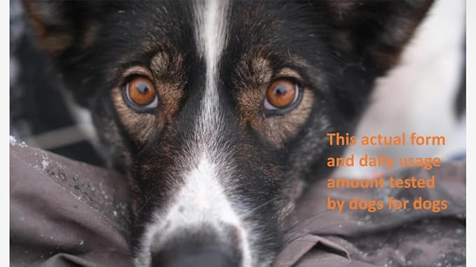 kril™ Antarctic Krill Oil Liquid Supplement for Dogs & Cats