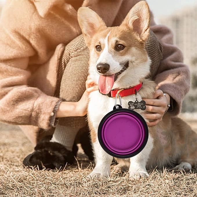 Large Collapsible Dog Bowls, 2 Pack, 34oz, Purple+Red