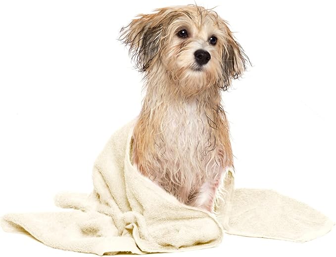 DAN RIVER Dog Towel - Pack of 1, 100% Cotton, 20x40, Ultra Soft 450 GSM, Super Absorbent & Quick Drying Towel for Dogs, Cats, and Other Pets, Shortbread.