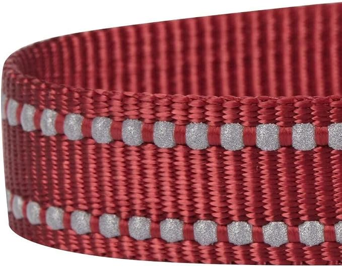 Blueberry Pet Essentials Durable 3M Reflective Classic Dog Leash 4 ft x 1", Marsala Red, Large, Leashes for Dogs