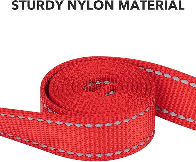 Taglory Reflective Dog Leash for Small Dogs, 3/4in x 5ft, Red | Ideal for Night Walking, Strong for Sudden Pulls, Lightweight & Gentle on the Neck, Soft Padded Handle