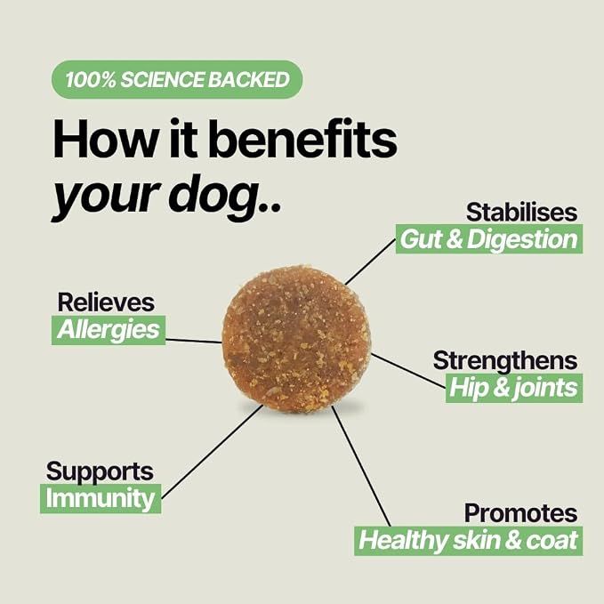 Dog Multivitamin Chews | Daily Probiotic, Hip & Joint, Allergy & Immune Support | Healthy Dog Treats for All Breeds & Sizes | Soft Chews with Glucosamine, Salmon Oil & Probiotics | 60 Ct